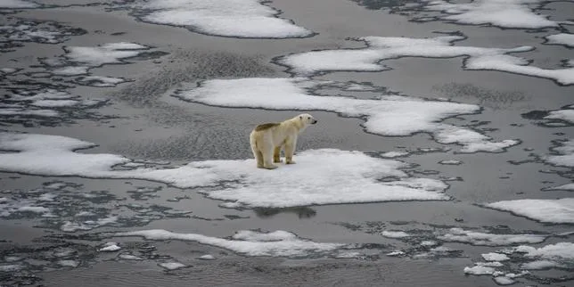 L’administration Trump annule un rapport de référence sur l’Arctique, une nouvelle atteinte à la science du climat aux Etats-Unis