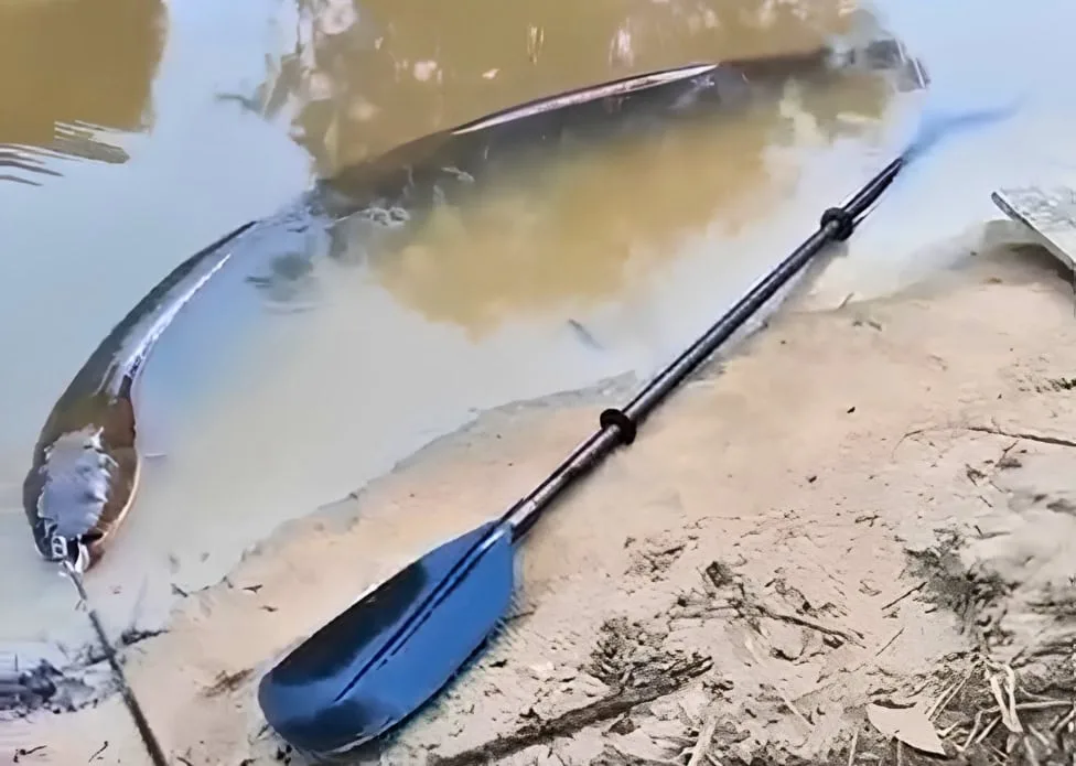 ‘Poraquê’ com cerca de 2,20 metros é fisgado no Rio Lagoinha, interior do Acre