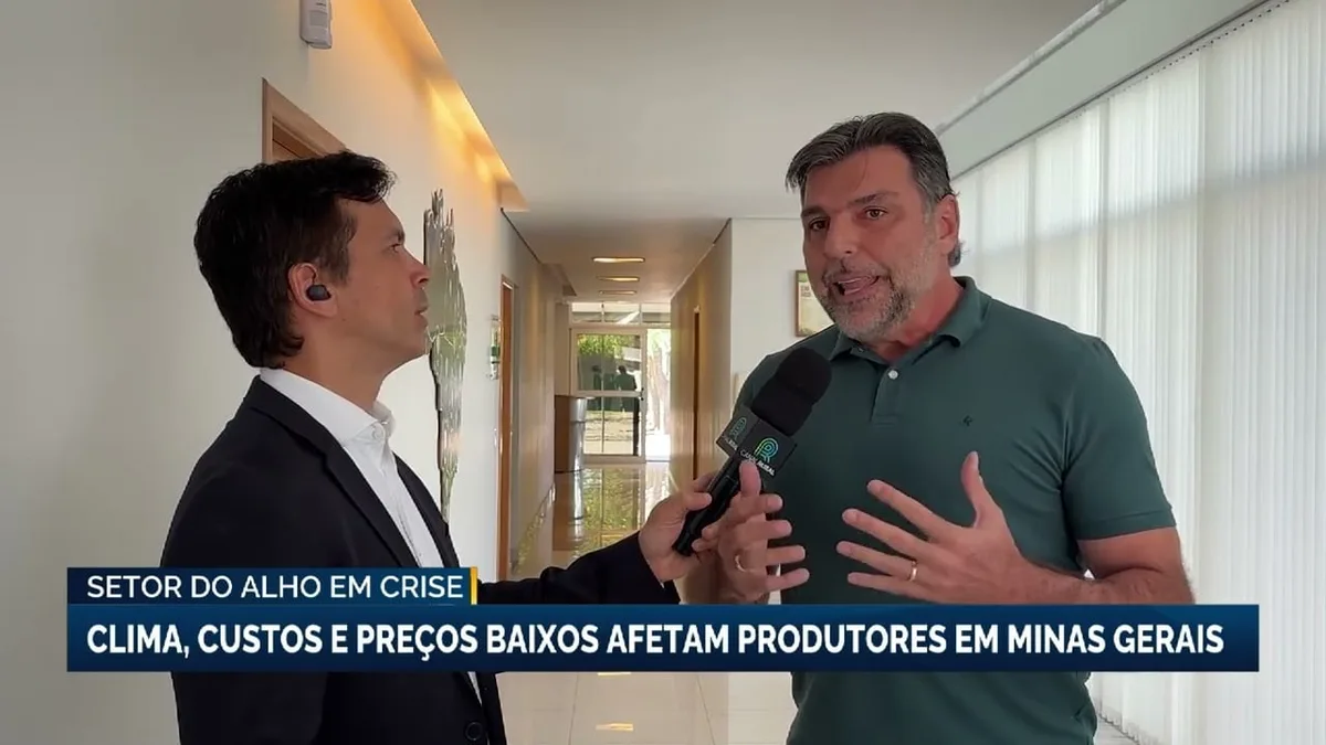 Setor do alho em Minas Gerais enfrenta crise devido a clima e custos altos