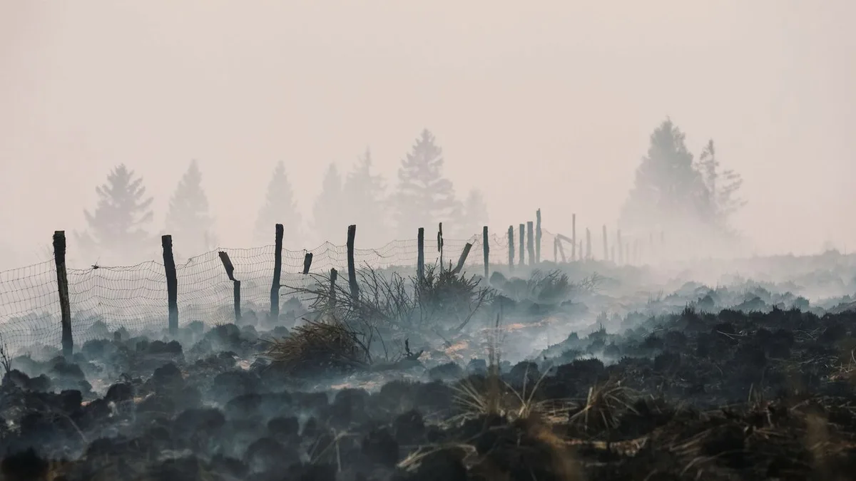 Naturschutzgebiet in Flammen: Waldbrand im Hohen Venn bleibt „unberechenbar“