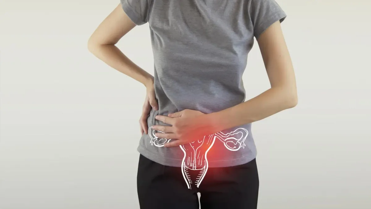 El ovario no se 'jubila' con la menopausia: sigue activo décadas después