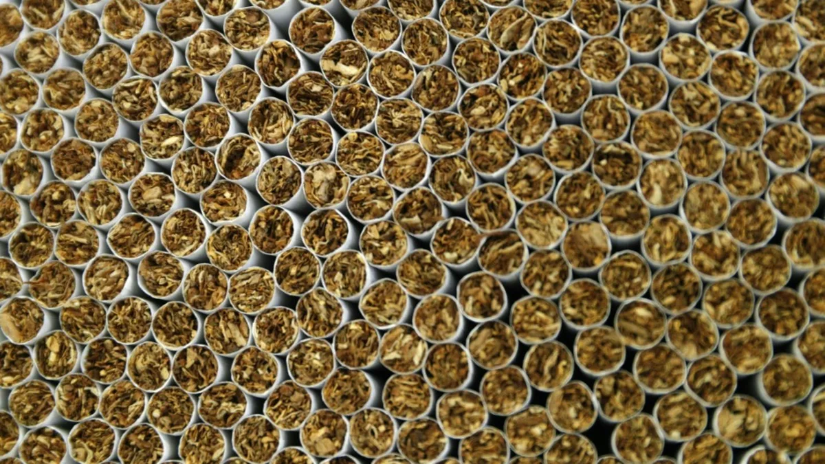 Illegale Zigarettenproduktion in Nordrhein-Westfalen: Wohl 28 Millionen Euro Schaden
