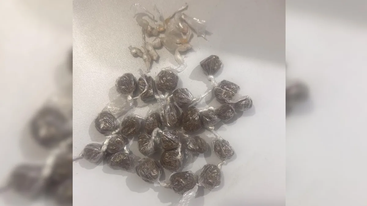 Dois adolescentes suspeitos de roubo e tráfico de drogas são apreendidos no Maranhão