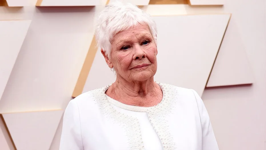 Judi Dench blasts 'trigger warnings' ruining stories: 'Drives me wild'