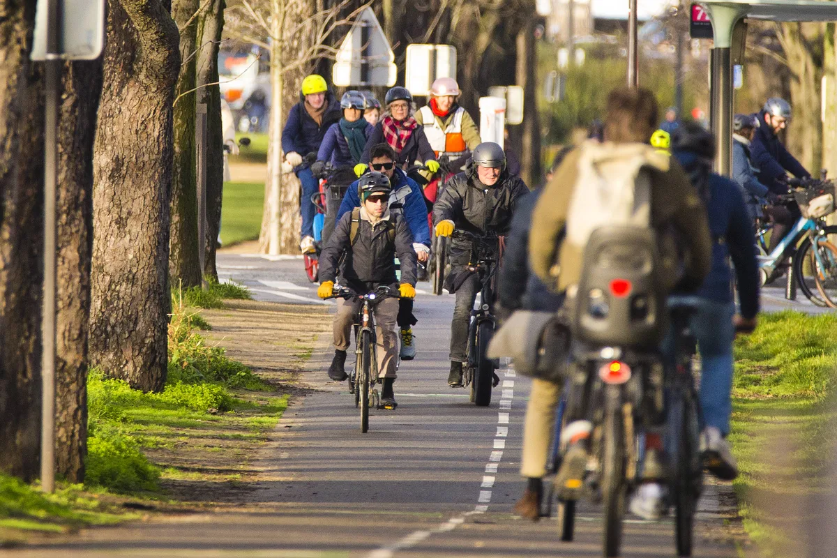 Vélos de course, vélos-cargos, fat bikes, trottinettes électriques : en roues (trop) libres ?
