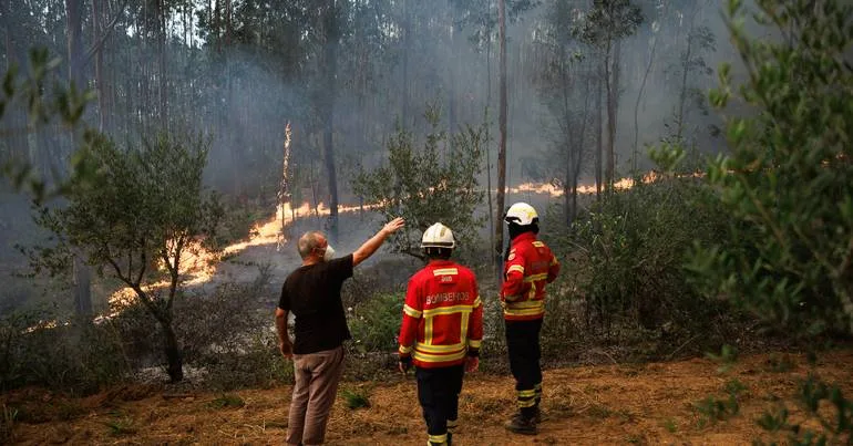 Incêndios. 10 milhões disponibilizados para Centro e Norte