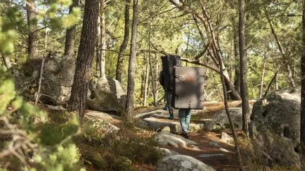 Les autorités déclarent éteint le feu en forêt de Fontainebleau, un mois et demi après qu'il se soit déclaré