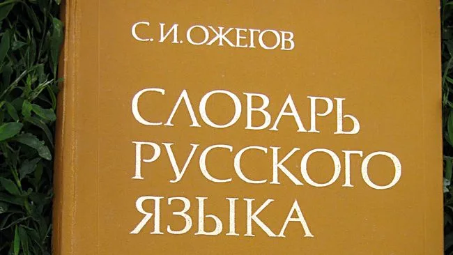 Русский входит в топ-5 мировых языков, сообщили в Институте Виноградова