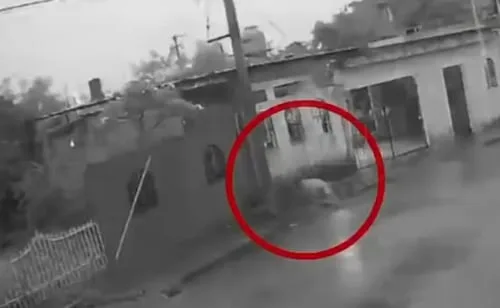 Muere perrito electrocutado por cable en calles de Mérida; CFE responde que pertenece al alumbrado público