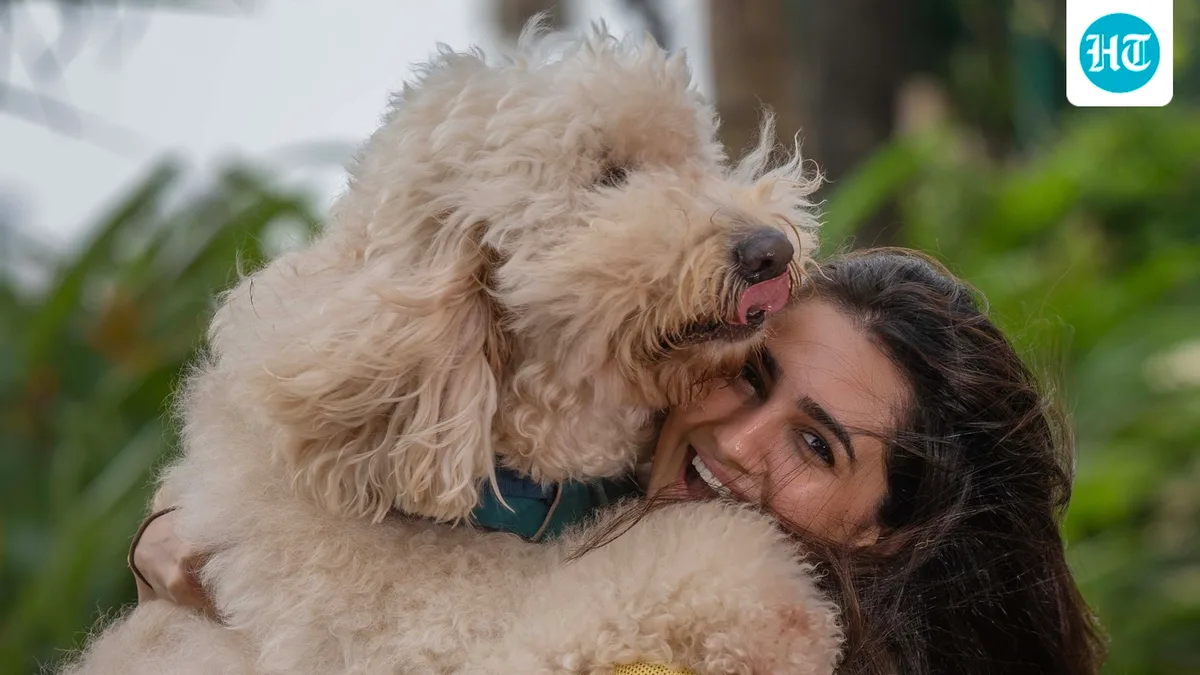 International Dog Day | Vedika Pinto: We need compassion for street dogs