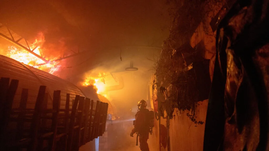 Incêndio destrói o mercado de rua coberto mais antigo de Paris