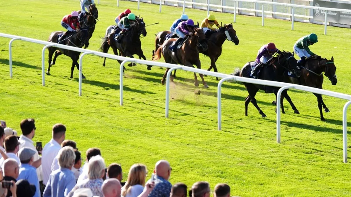 Lingfield, Windsor and Wolverhampton feature on Monday