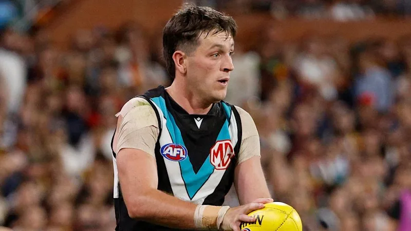 ‘Perfect match’: Bulldogs beat the Cats in race for Zak Butters