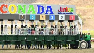 La velocidad se apodera de La Rinconada con el desarrollo de la reunión 34 y dos pruebas selectivas