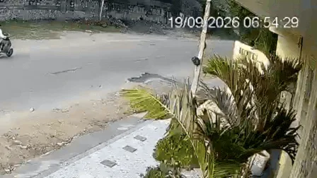 Caught on camera: Speeding Thar rams into scooter, 57-year-old dies