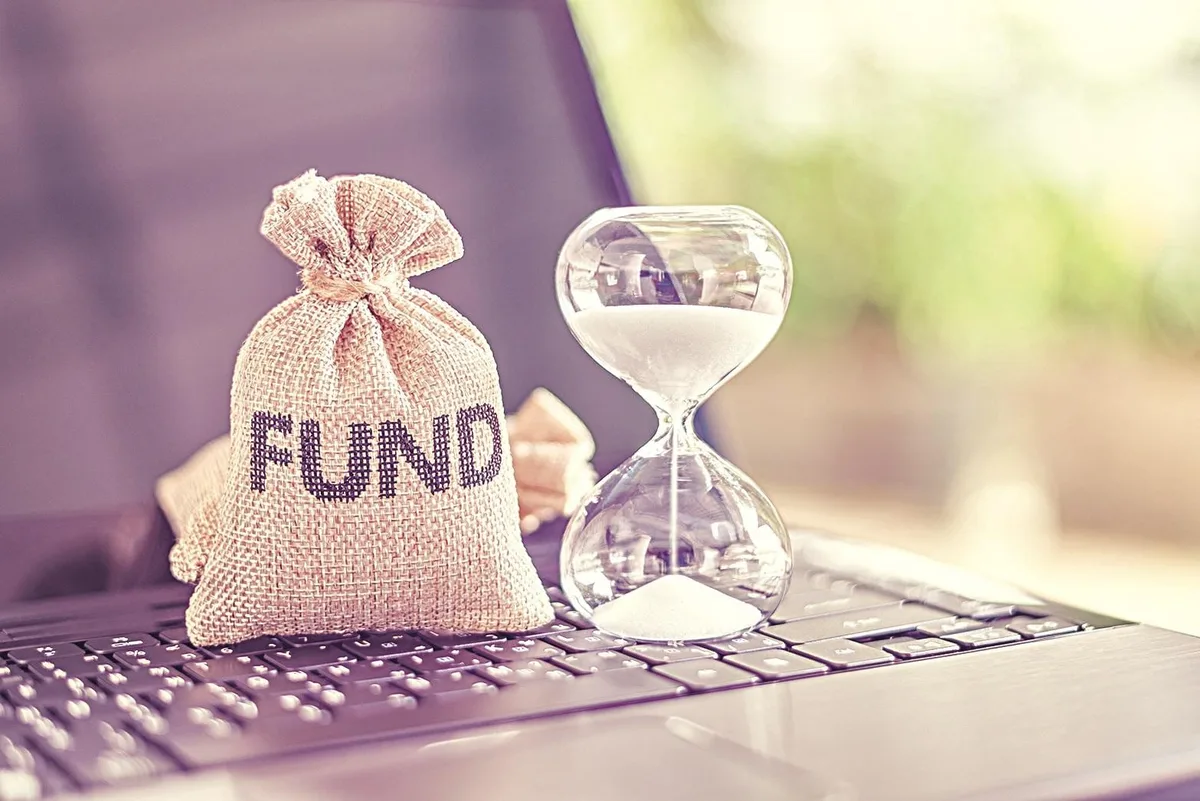 Fund Review: Nippon India Large Cap