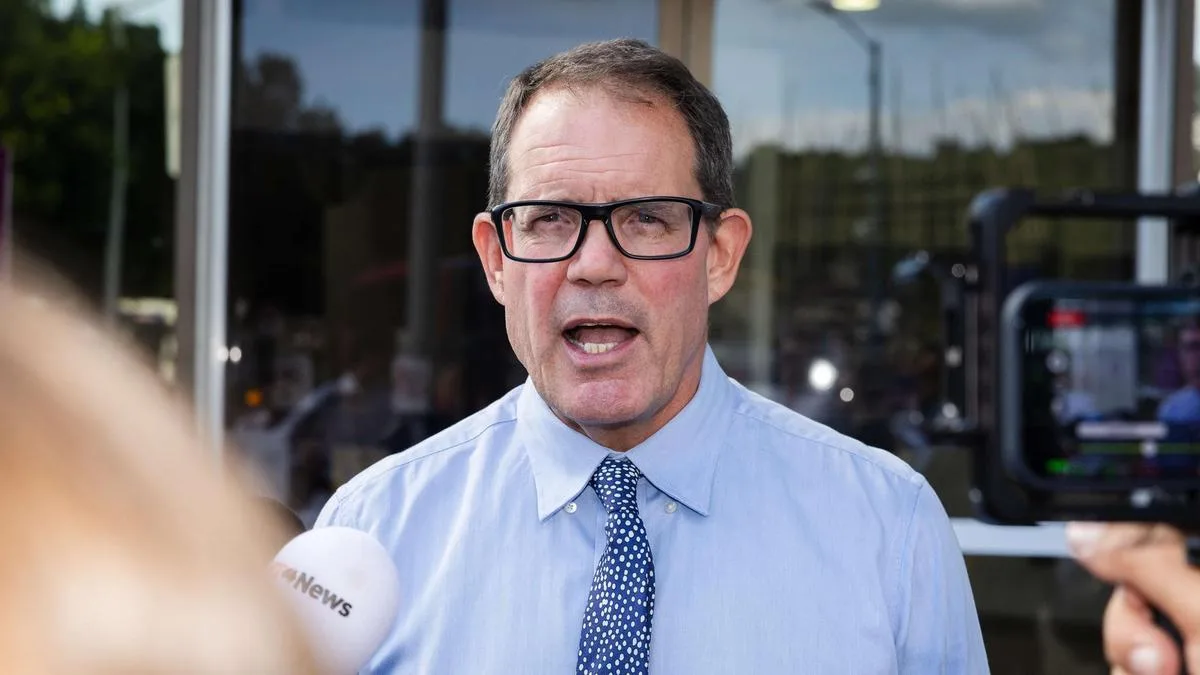 Federal Labor MP Luke Gosling stands aside from special envoy role amid legal row