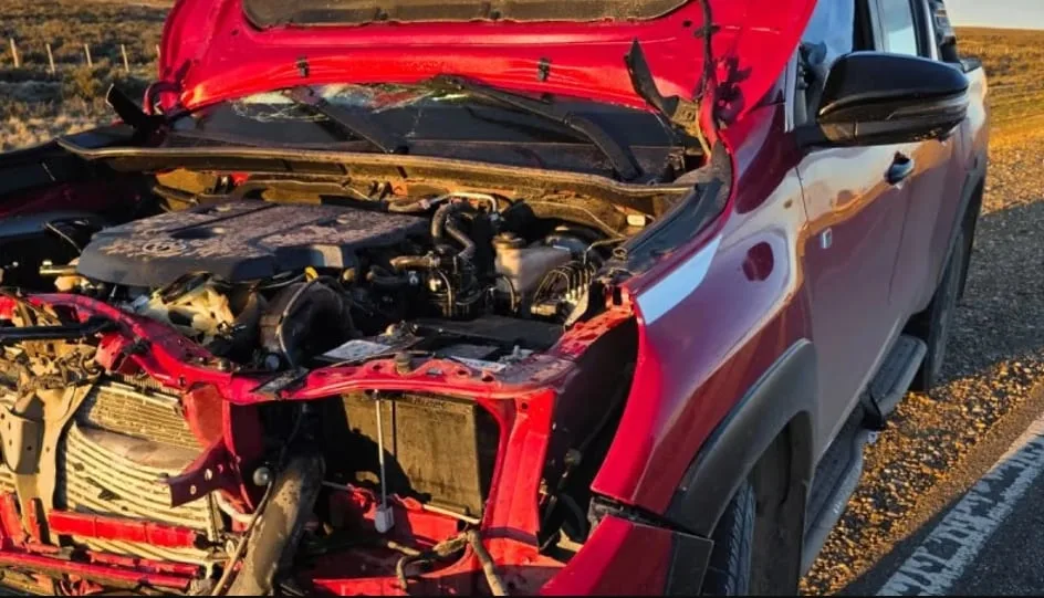 Un ex gobernador de Santa Cruz chocó contra un guanaco cuando viajaba por la Ruta 3 y su auto quedó destruido