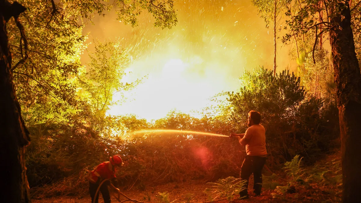 Queimas e queimadas são a principal causa dos incêndios deste ano
