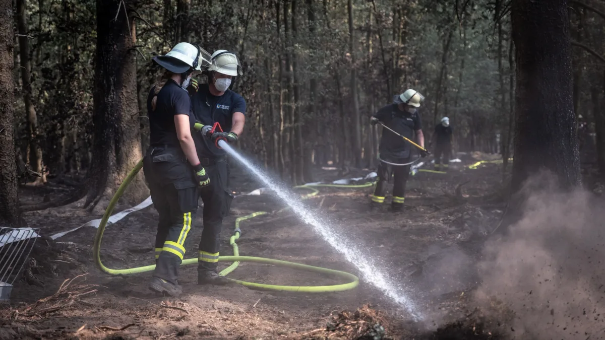 Nordrhein-Westfalen: Brand im Hürtgenwald vollständig gelöscht
