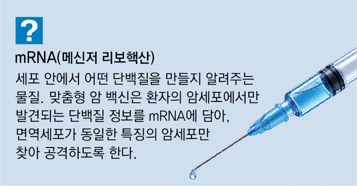 코로나 잡은 mRNA, 암 전이-재발 막아… “당뇨처럼 관리” 기대