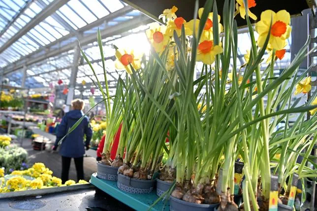 À Munich, la jardinerie où l’on oublie tous ses soucis