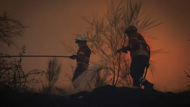 Fogo em Torre de Moncorvo tem novamente uma frente de fogo ativa