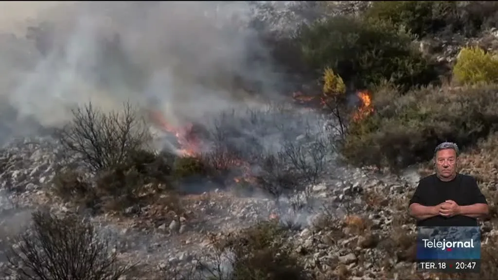 Turfa e rede eletrica contribuem para incêndios na Bélgica e Grécia