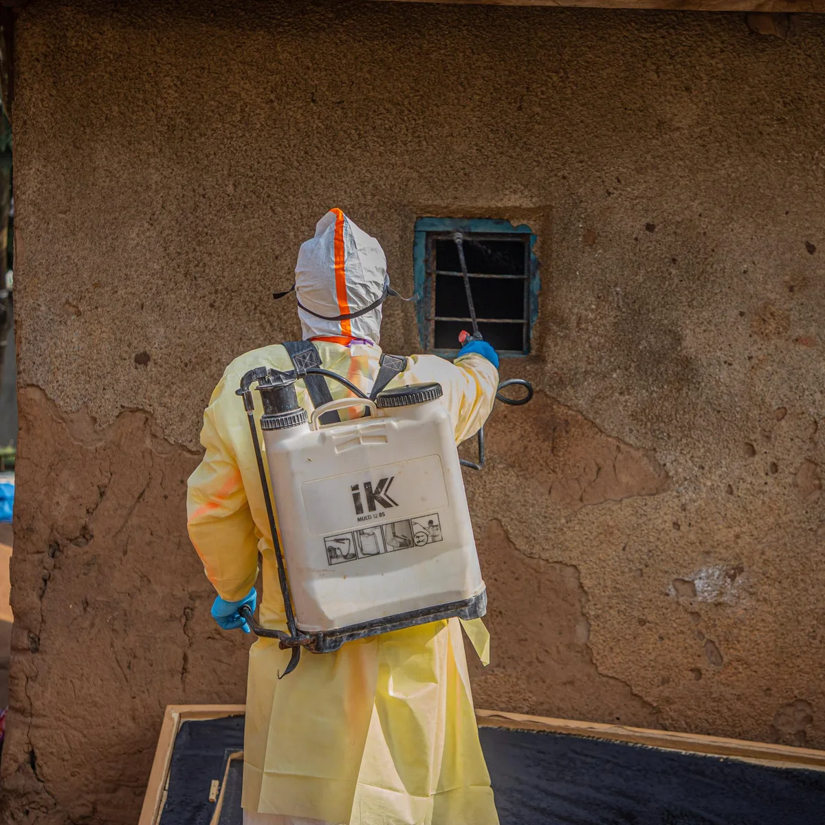 Infektionen - Kongo: Zahl der Ebola-Toten auf über 3.000 gestiegen