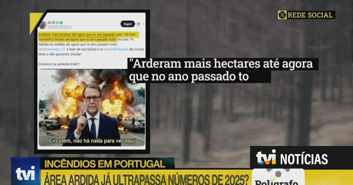 Polígrafo. Área ardida deste ano já supera a totalidade do ano de 2025?