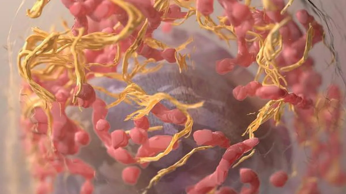 Melanoma in India: why the messaging needs to change to catch it early