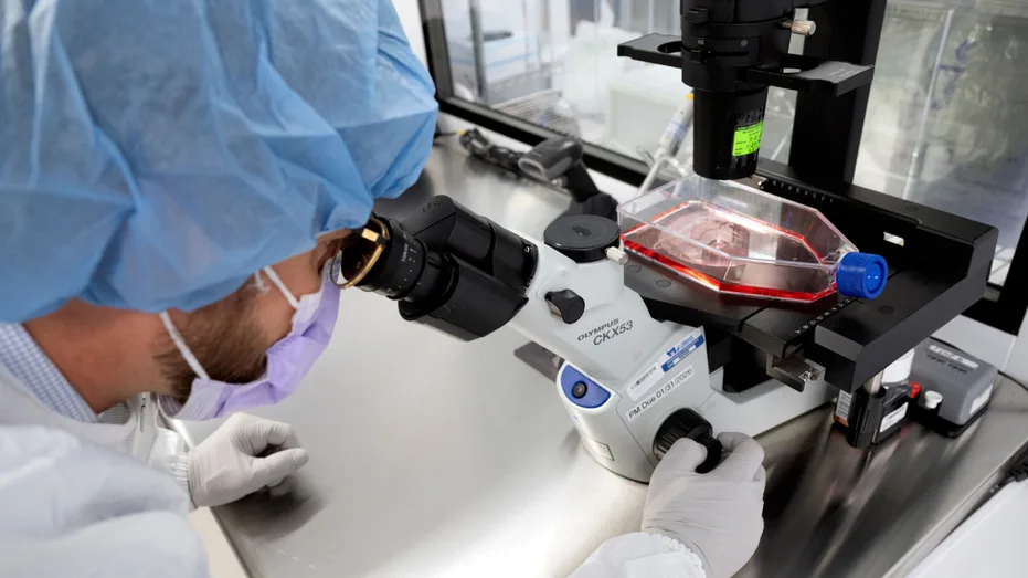 How AI could transform cancer treatment and medicine