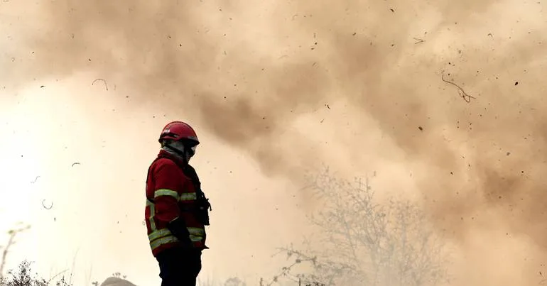 Quase 50 operacionais combatem incêndio florestal em Tavira