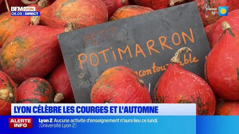 Lyon célèbre les courges et l'automne