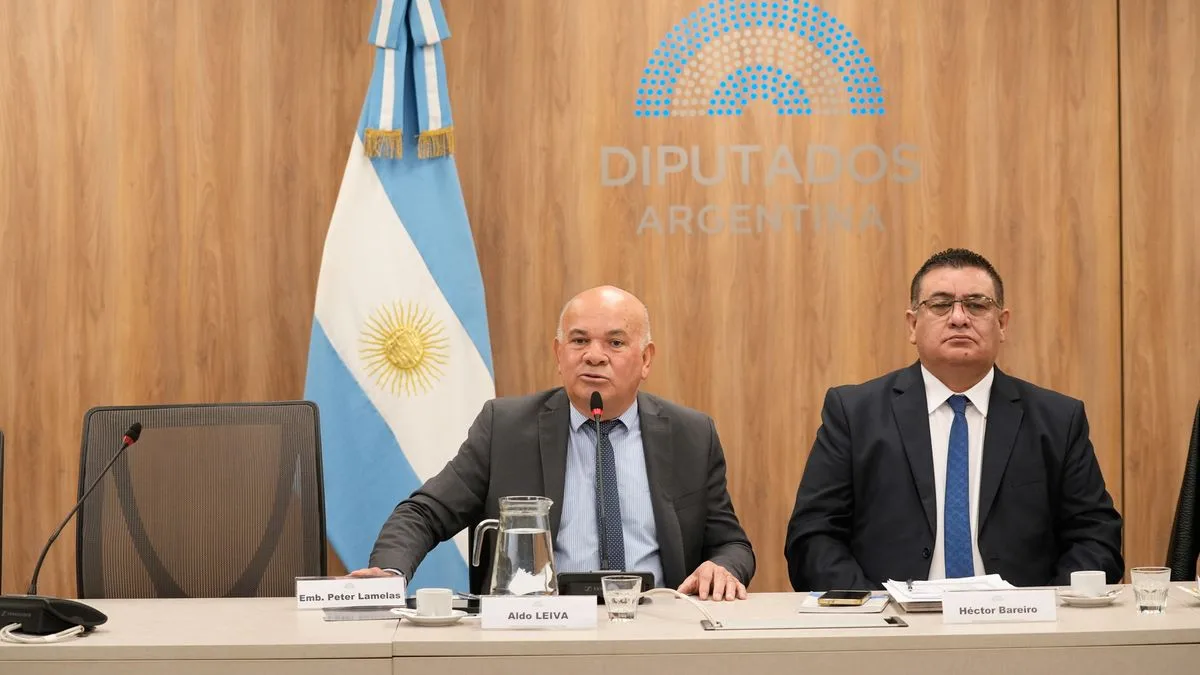 Peter Lamelas faltó a la comisión de Diputados, que lo había citado por el caso CALF