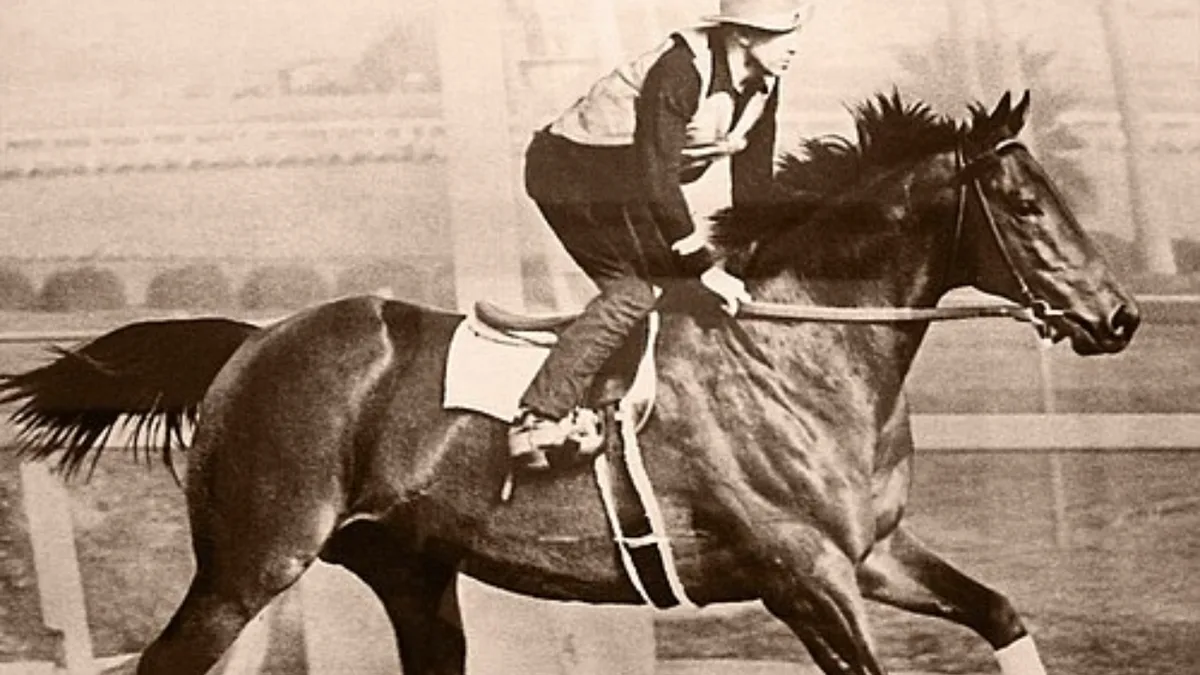 Seabiscuit’s California ranch became a conservation haven for wetlands