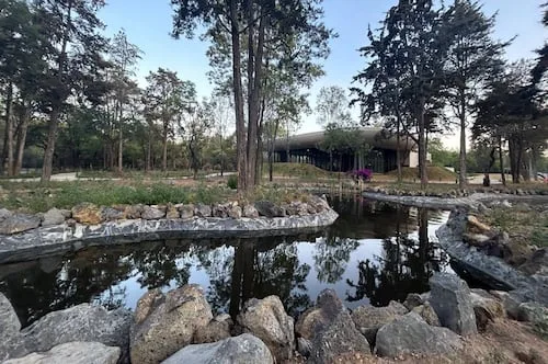 5 actividades para el fin de semana en CDMX