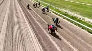 Esto arrojó el 5 y 6 nacional en el hipódromo Internacional La Rinconada para este domingo 13-9-2026
