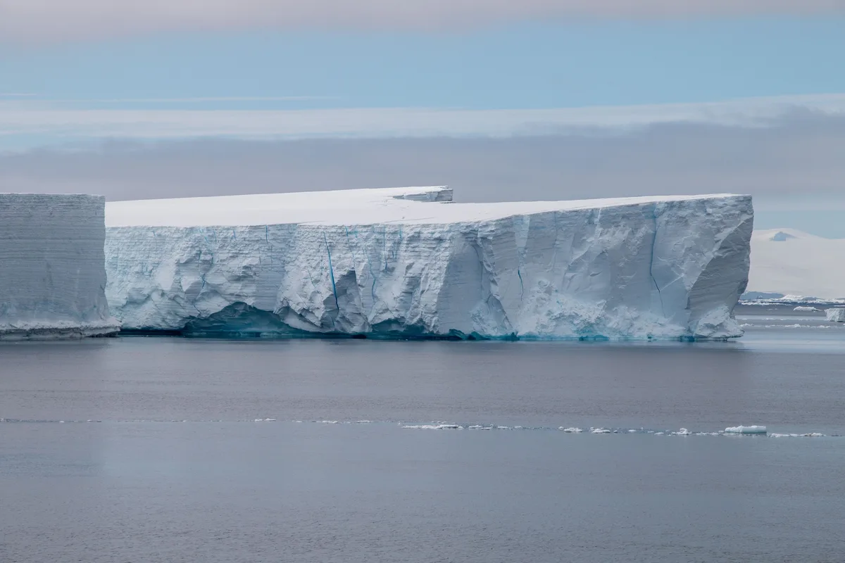 Científicos buscaban un barco perdido en la Antártida, pero lo que vieron debajo de un iceberg los dejó impactados
