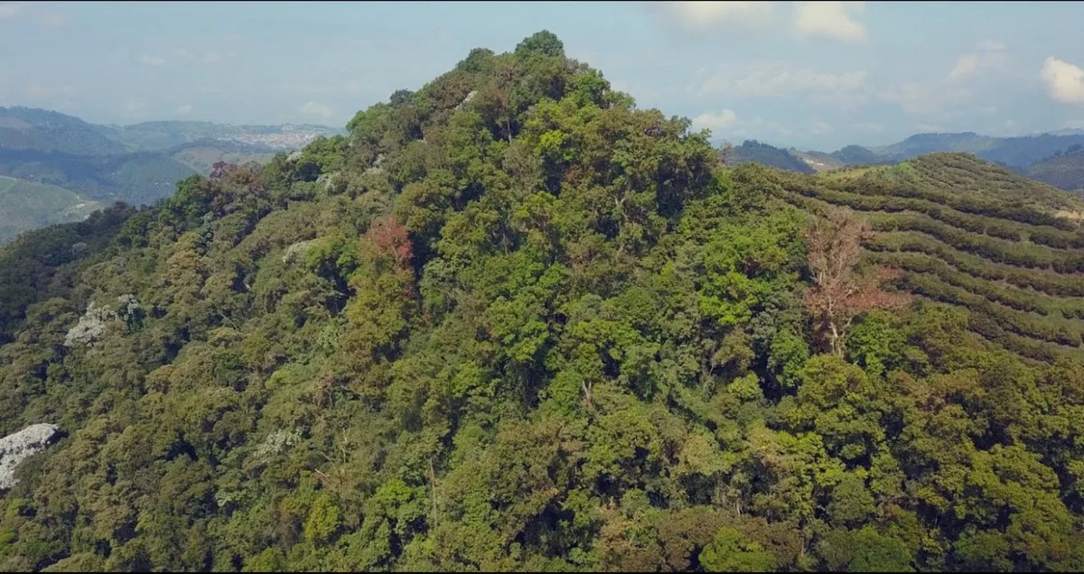 COMUNICACIÓN: Invesmar consolida su inversión sostenible y afianza el modelo de ecosistema regenerativo en Colombia
