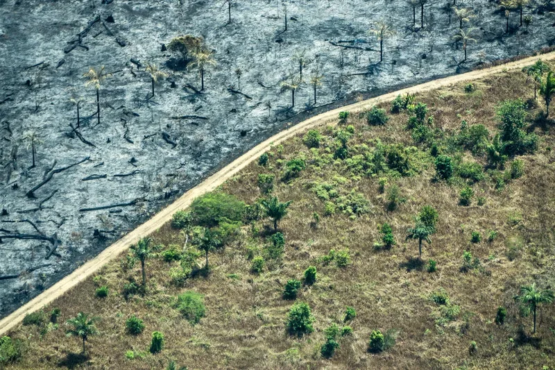 91% dos eleitores acham importantes propostas contra a crise climática; veja o que os presidenciáveis prometem