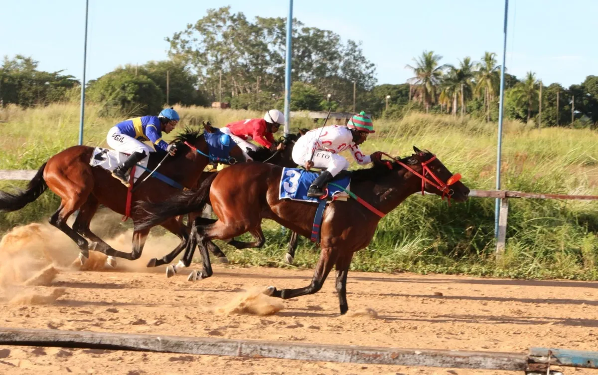 Jóquei Clube volta a realizar corridas de cavalos no Hipódromo da Lagoinha