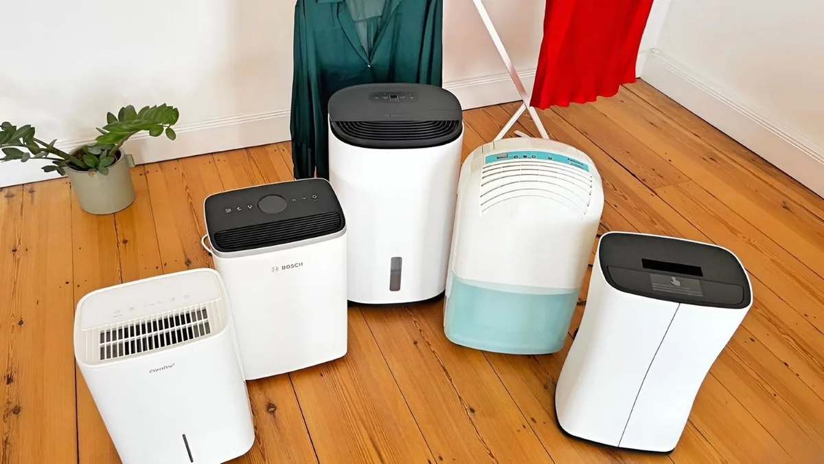 Keine Chance dem Schimmel: Luftentfeuchter im Test: Fünf Modelle für Wohnung und Keller