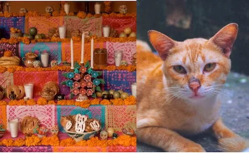 En Día de Muertos viaja al 'Michictlán' en CDMX
