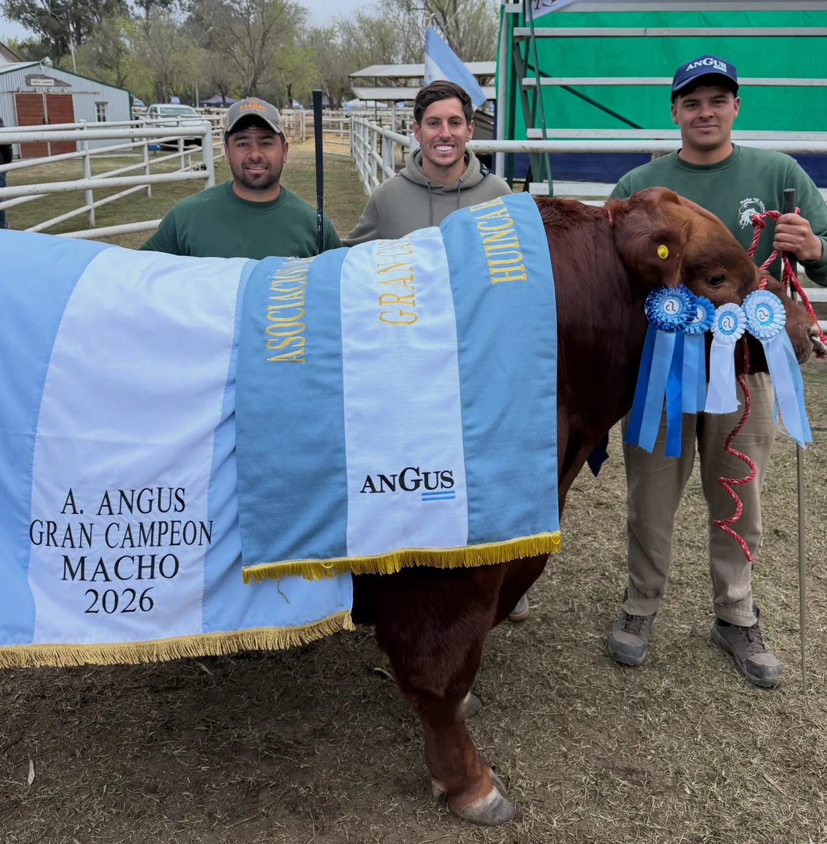 Nicolás Cavigliasso, 35 años, ganador del Dakar, sacó un toro campeón: “Me pone muy feliz”