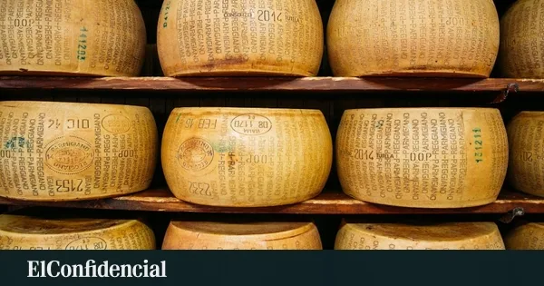 Sin agua y a 40 grados: el calor extremo asfixia a las vacas en Italia y pone en riesgo la producción del Parmigiano Reggiano