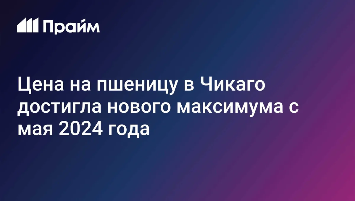 Цена на пшеницу в Чикаго достигла нового максимума с мая 2024 года