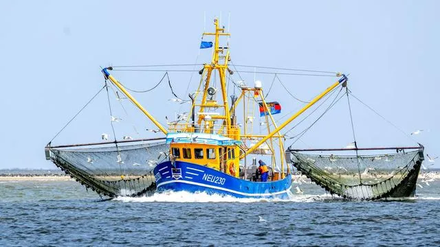 Fischerei im Wattenmeer: WWF legt Plan mit fischereifreien Zonen für SH vor