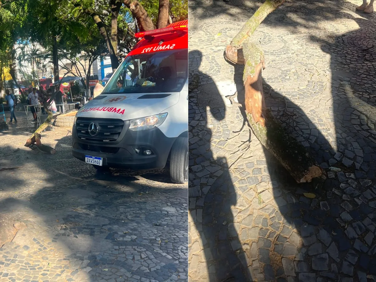 Idoso é atingido por galho de árvore em praça de Teófilo Otoni e fica em estado grave
