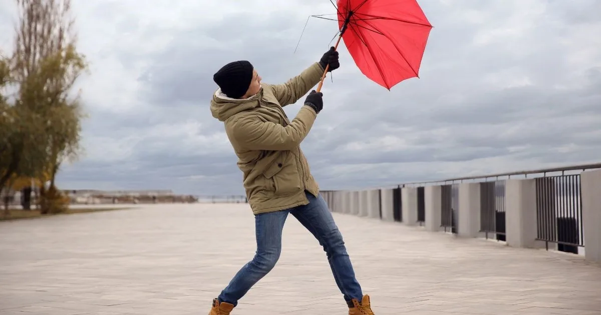 El país del viento